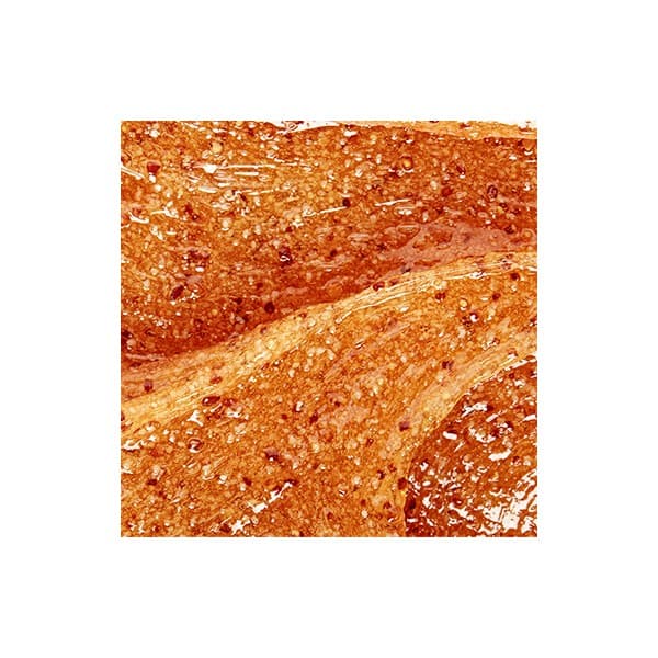 Sperience Cinnamon&Ginger Scrub 200ML